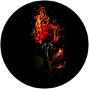 Burhan Akbar profile picture