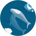 henrey profile picture